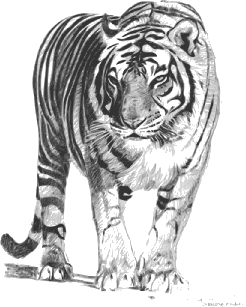bengal paint outline