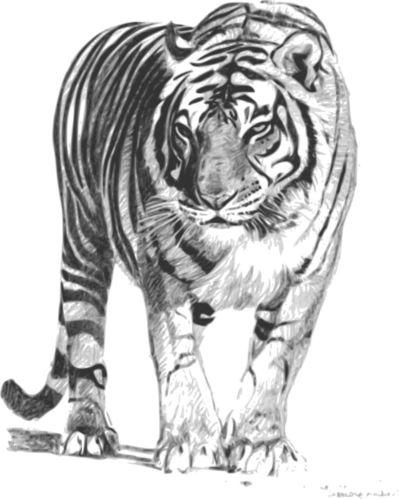 bengal paint png