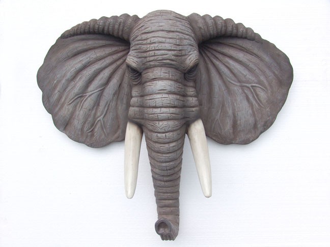 elefante3